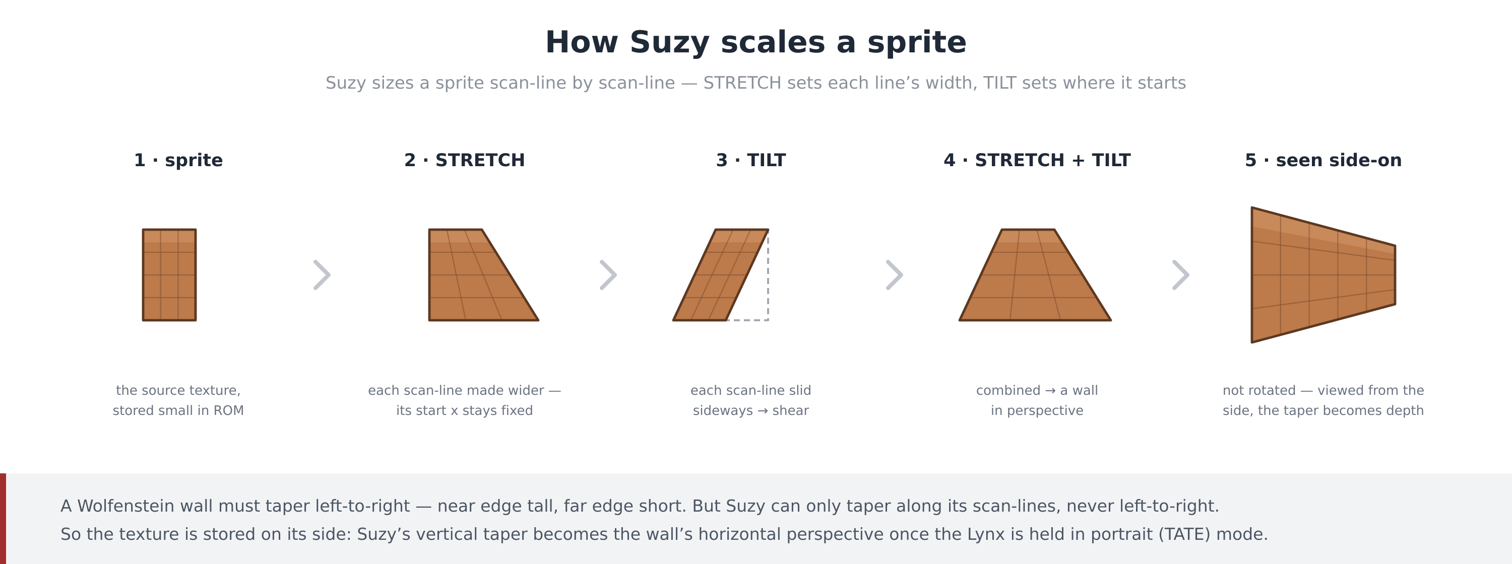 Diagram of Suzy's two scaling operations combining into a perspective warp