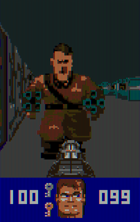 A boss fight in Wolfenstein 3D on the Atari Lynx, played in portrait TATE mode